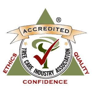 Accredited Tree Care Company - JL Tree Service